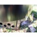 Clikstand Appalachian Combo - Stainless Steel Stove